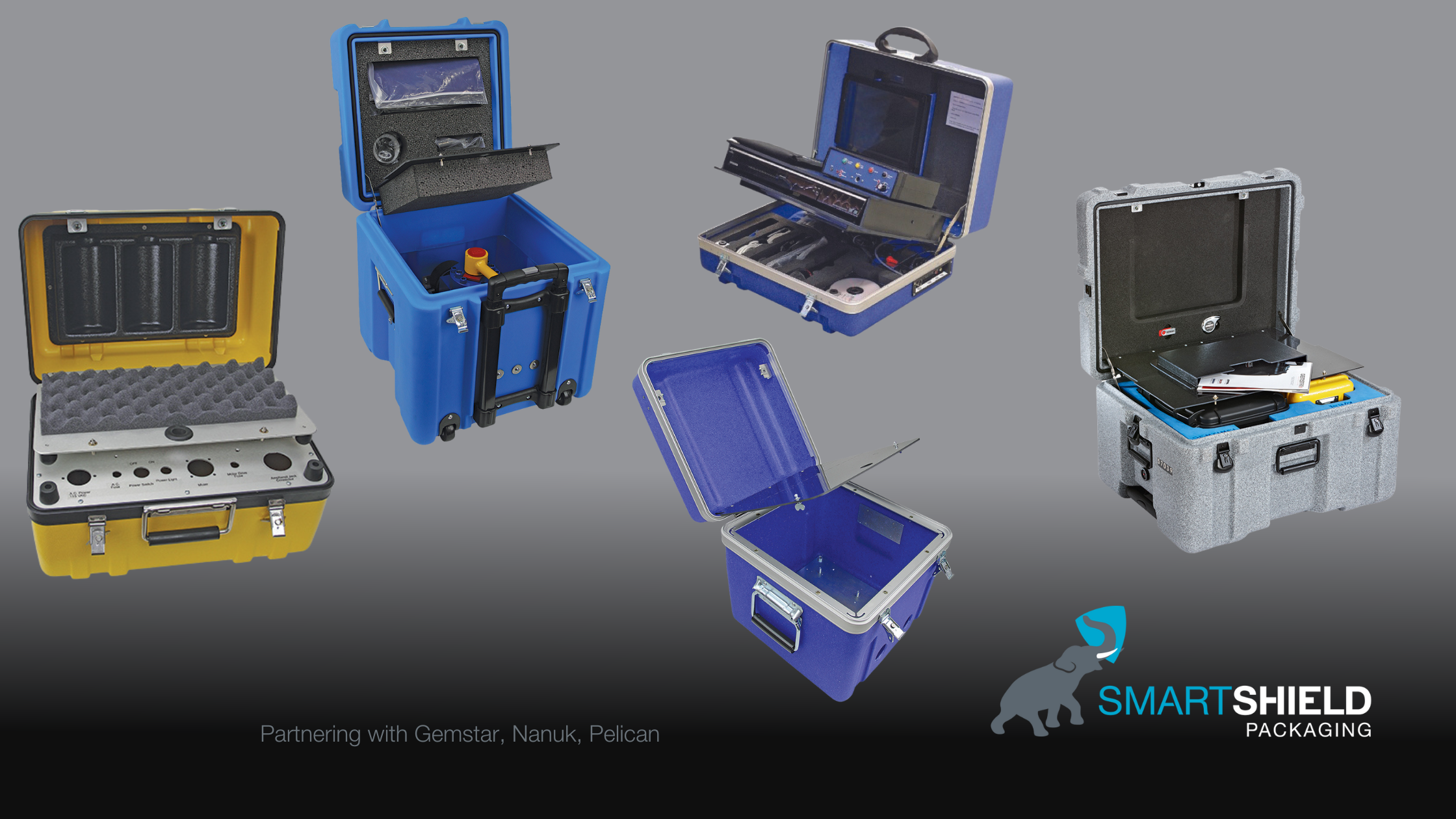 GemStar, Nanuk, Pelican Cases (3)