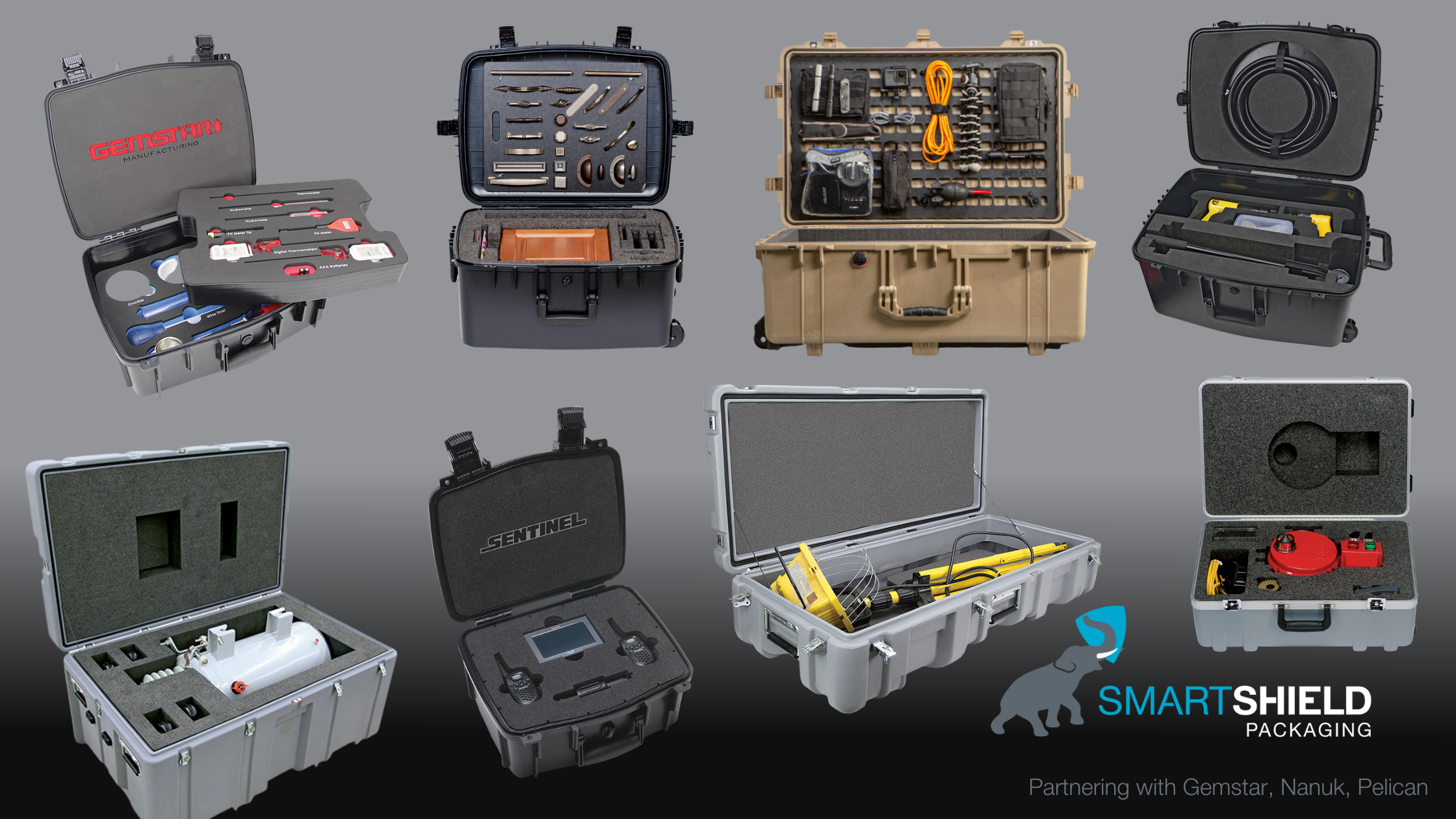GemStar, Nanuk, Pelican Cases (8)