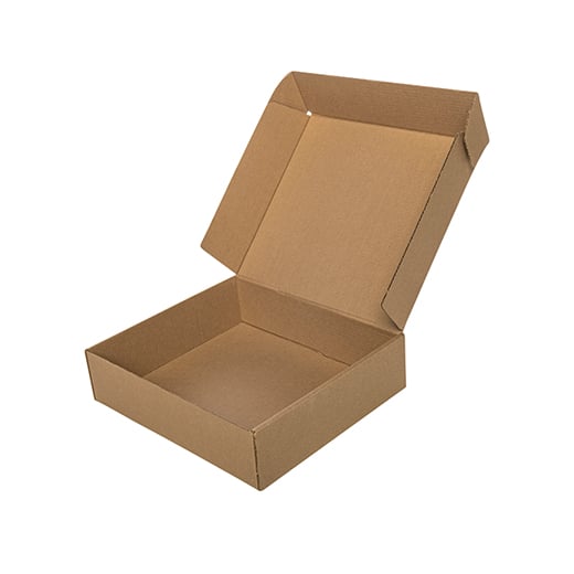 MAILER CARTON-1