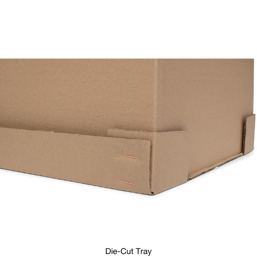 Plastic Bins Available (11)